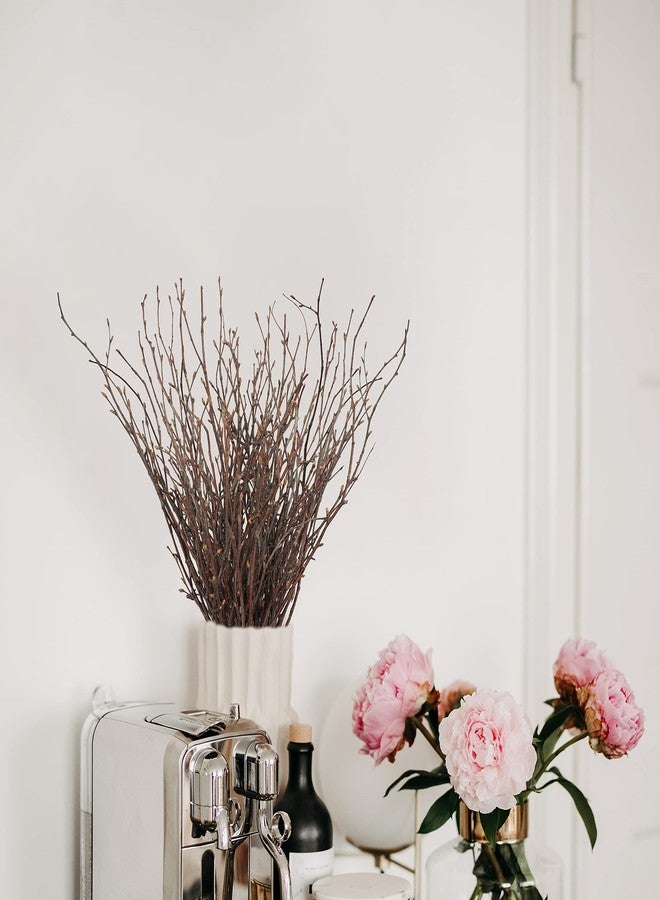 Uieke ١٠٠ قطعة من أغصان البتولا الطبيعية المجففة من Uieke - أغصان نباتية مجففة بطول ١٧ بوصة، مثالية للأعمال اليدوية، وتزيين المزهريات، وتنسيقات حفلات الزفاف، وأكاليل الزهور المنزلية. - Image 3