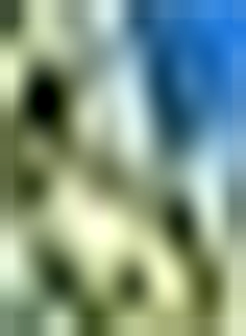 GGOOT 10pcs White Wisteria seeds Decorate Flower Corridors Trellis Fences Hanging Vertical Growth Create Unique Garden Landscape - Image 2