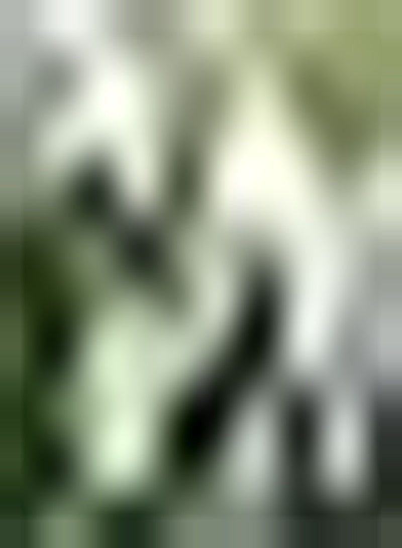 GGOOT 10pcs White Wisteria seeds Decorate Flower Corridors Trellis Fences Hanging Vertical Growth Create Unique Garden Landscape - Image 1