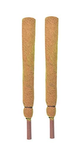 coir garden Plant Support Stick - Coco Pole 2 feet (61 cm) - 2 Pieces - Image 1