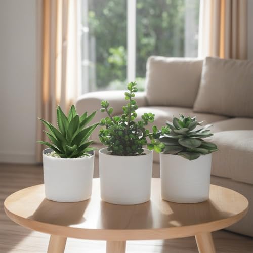 Hopewood نباتات هوبيوود العصارية الاصطناعية في أواني بيضاء صغيرة، نباتات عصارية مزيفة في مزهرية، مجموعة من 3 - Image 3