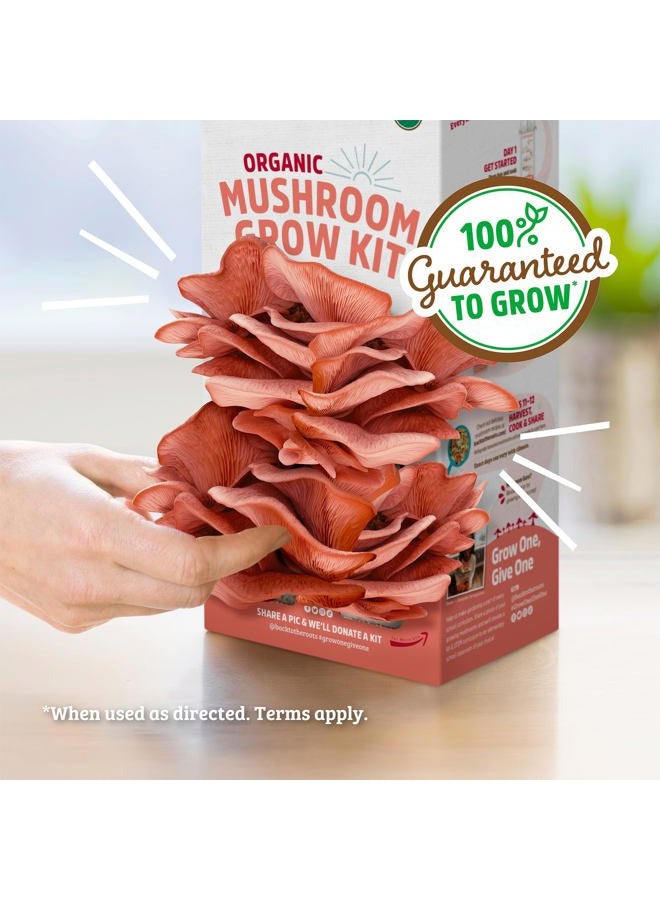 Back to the Roots Organic Pink Mushroom Grow Kit, Harvest Gourmet Mushrooms In 10 Days - Image 5