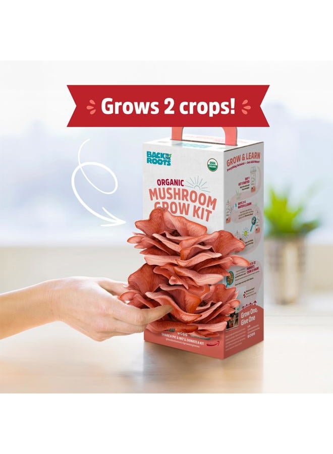 Back to the Roots Organic Pink Mushroom Grow Kit, Harvest Gourmet Mushrooms In 10 Days - Image 3