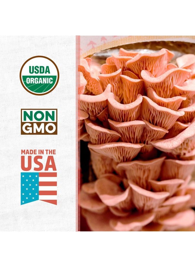 Back to the Roots Organic Pink Mushroom Grow Kit, Harvest Gourmet Mushrooms In 10 Days - Image 2