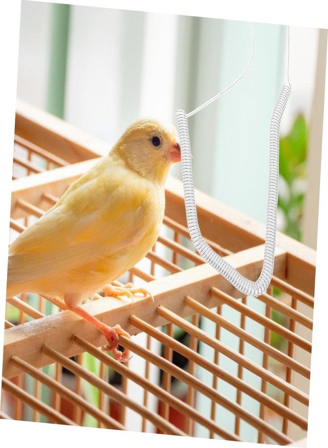 CORHAD Strong Plastic Steel Wire Parrot Harness Bird Leash Training Rope for Outdoor Fun Parrot Accessories Bite-Resistant Material Random Color - Image 5