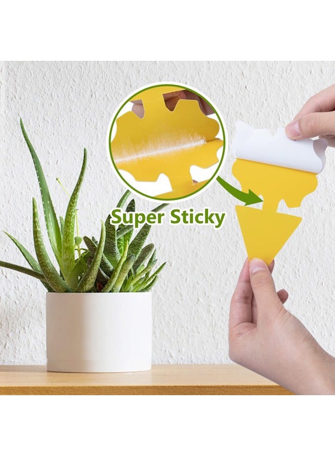 Dwcom Trap Dwcom 40 Pack Fungus Gnat Traps for House Indoor Yellow Sticky Traps for Gnats Sticky Traps for Plants, Dual-Sided Fungus Gnat Sticky Traps Fruit Fly Traps for Indoors - Image 5