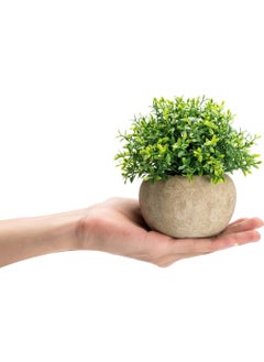 Rock Pow 2Pcs Mini Artificial Boxwood Topiary Faux Plants Indoor- Small Fake Plants Decor Magnolia Home Office Desk Cubicle Farmhouse Kitchen Bookshelf Bedroom Bathroom Decor, Aloe Vera Zen Garden  - Image 3