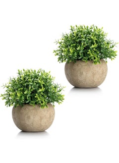 Rock Pow 2Pcs Mini Artificial Boxwood Topiary Faux Plants Indoor- Small Fake Plants Decor Magnolia Home Office Desk Cubicle Farmhouse Kitchen Bookshelf Bedroom Bathroom Decor, Aloe Vera Zen Garden  - Image 1