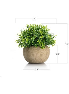 Rock Pow 2Pcs Mini Artificial Boxwood Topiary Faux Plants Indoor- Small Fake Plants Decor Magnolia Home Office Desk Cubicle Farmhouse Kitchen Bookshelf Bedroom Bathroom Decor, Aloe Vera Zen Garden  - Image 2