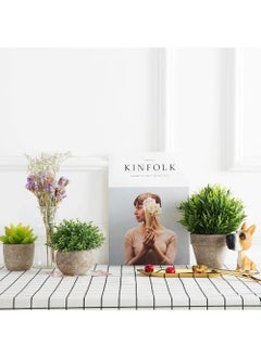 Rock Pow 2Pcs Mini Artificial Boxwood Topiary Faux Plants Indoor- Small Fake Plants Decor Magnolia Home Office Desk Cubicle Farmhouse Kitchen Bookshelf Bedroom Bathroom Decor, Aloe Vera Zen Garden  - Image 4