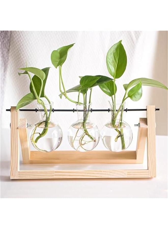 HOOKOR Plant Propagation Station, Plant Terrarium with Wooden Stand, Unique Gardening Birthday Gifts for Women Plant Lovers, Home Office Garden Decor Planter - 3 Bulb Glass Vases,White,(12-02) - Image 2