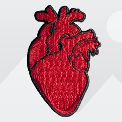 Generic Anatomy Heart I Patch, 4 Inch Heart,Patch Heart,Embroidery Patch,Sew On Patch, Funky Patch,Cool Patches, (55SS) - Image 1