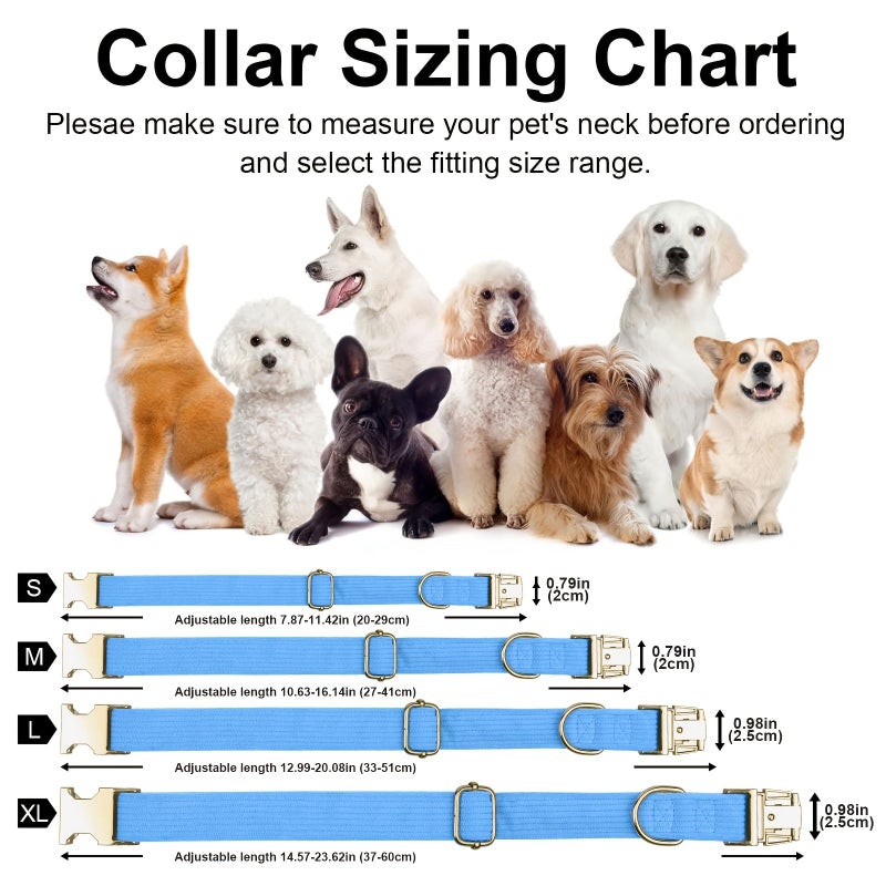 Personalized Velvet Dog Collar Leash Set Sky Blue Medium Laser Engraved Name Phone Gift - Image 2