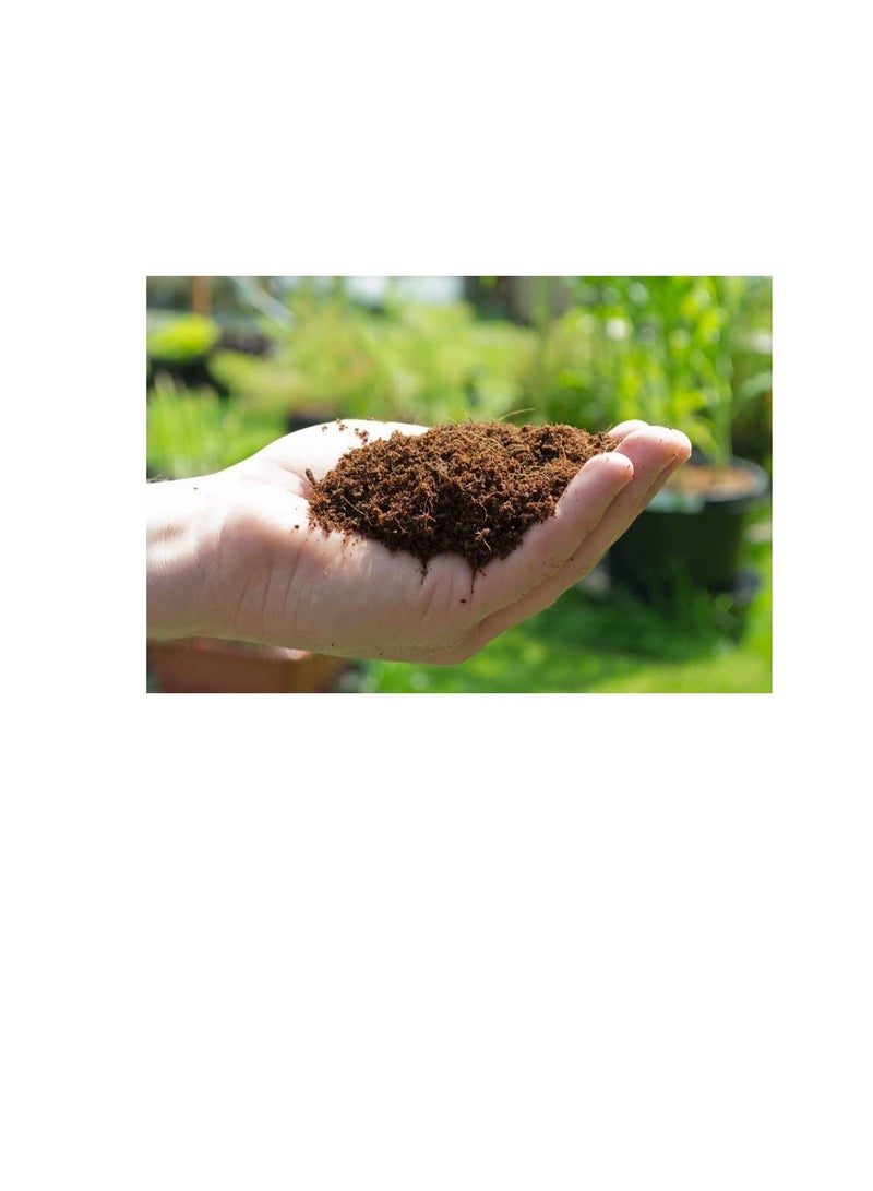 Generic Kraft Seeds Gate Garden Cocopeat Block, Agropeat Block - Expands Up To 25 Litres of Coco Peat Powder for all Seeds and Plants - Image 3