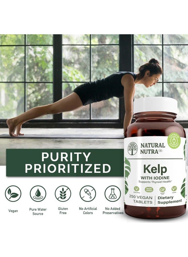 Natural Nutra مكمل دعم الغدة الدرقية من الطحالب البحرية، يقوي جهاز المناعة وينظم الأيض، طحالب بحرية نباتية، غير معدلة وراثيًا، مستخلص طحالب من المحيط الأطلسي، 225 ميكروغرام، 250 قرص (عبوة من 2) - Image 4