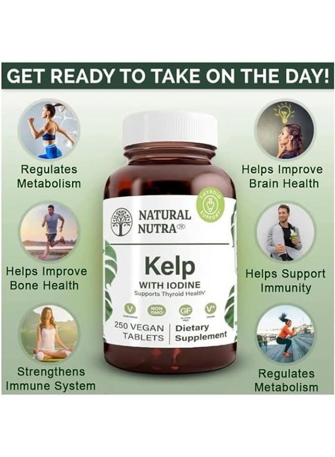 Natural Nutra مكمل دعم الغدة الدرقية من الطحالب البحرية، يقوي جهاز المناعة وينظم الأيض، طحالب بحرية نباتية، غير معدلة وراثيًا، مستخلص طحالب من المحيط الأطلسي، 225 ميكروغرام، 250 قرص (عبوة من 2) - Image 3