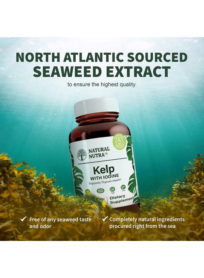 Natural Nutra مكمل دعم الغدة الدرقية من الطحالب البحرية، يقوي جهاز المناعة وينظم الأيض، طحالب بحرية نباتية، غير معدلة وراثيًا، مستخلص طحالب من المحيط الأطلسي، 225 ميكروغرام، 250 قرص (عبوة من 2) - Image 5
