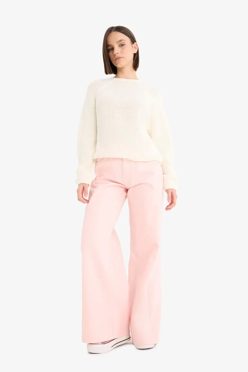 ديفاكتو Regular Fit Crew Neck Basic Dress Pullover