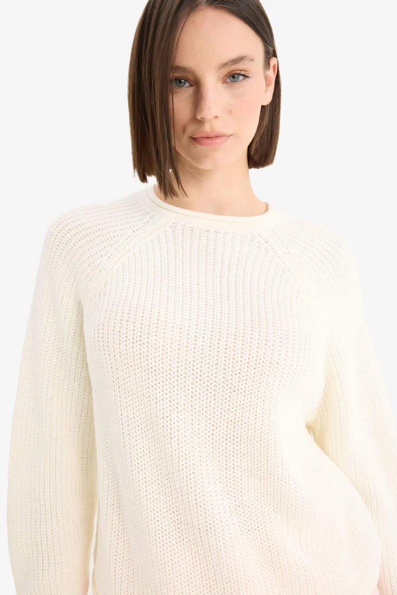 ديفاكتو Regular Fit Crew Neck Basic Dress Pullover