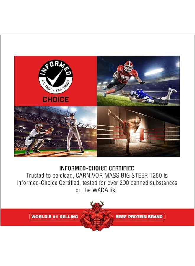 MuscleMeds Carnivor Mass Chocolate Big Steer 1250, 15 Lb (Packaging May Vary) - Image 5