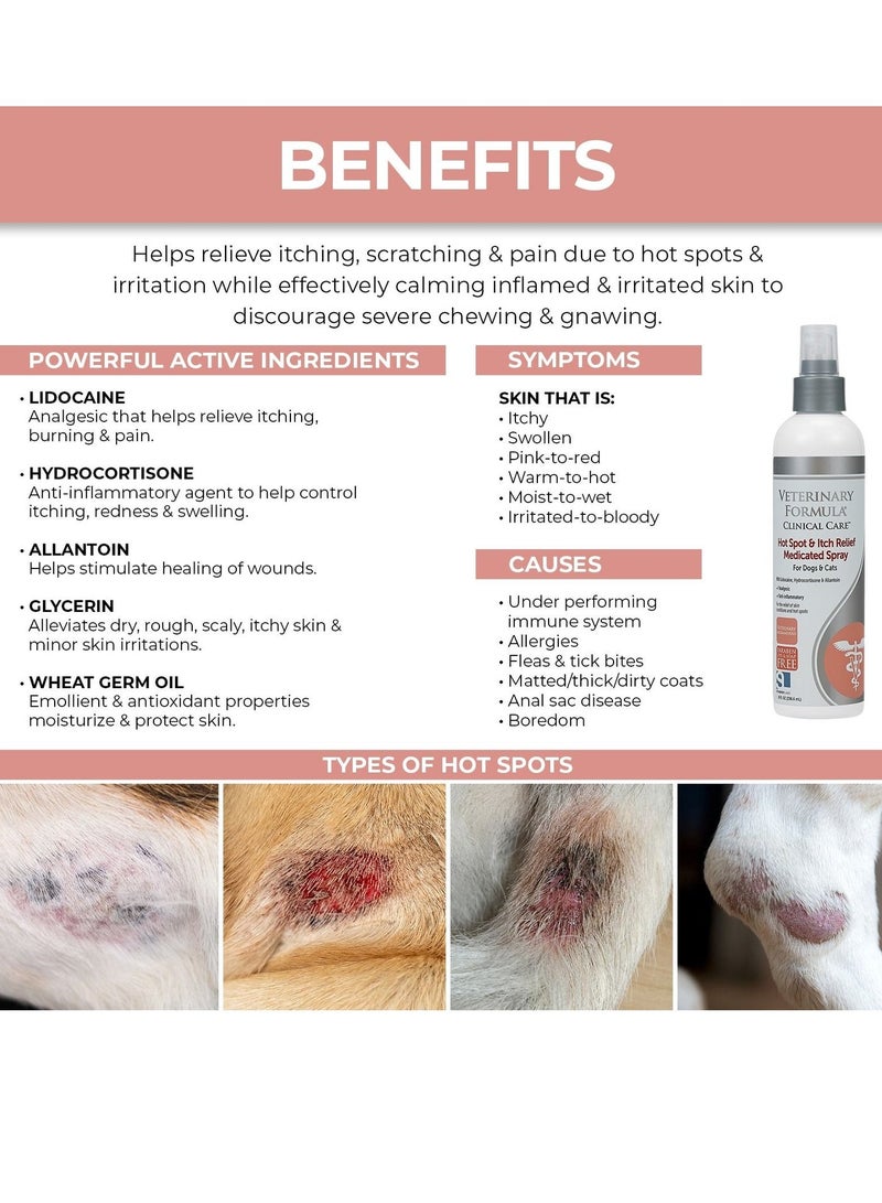 SynergyLabs Synergy Labs Veterinary Formula Clinical Care Hot Spot & Itch Relief Medicated Spray 236ml For Dogs & Cats[Volume - 236ml] - Image 4