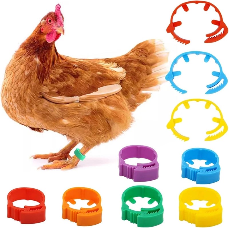 Adjustable Poultry Chicken Foot Ring Identification Leg Rings Clip for Poultry Chickens Ducks Geese Parrot(Red,200pcs) - Image 1