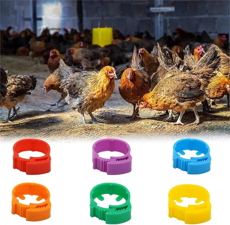 Adjustable Poultry Chicken Foot Ring Identification Leg Rings Clip for Poultry Chickens Ducks Geese Parrot(Red,200pcs) - Image 3