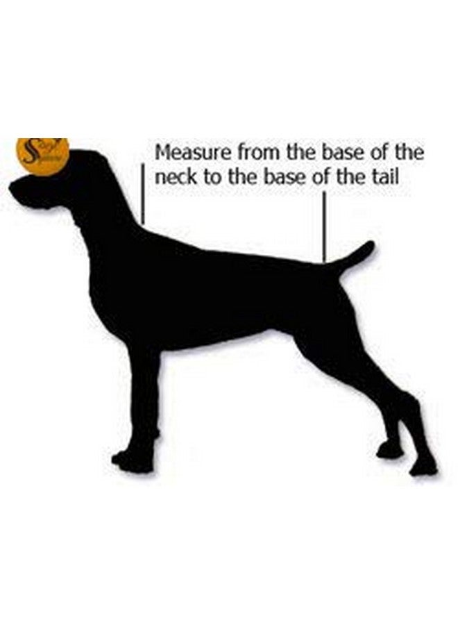 سايج سكوير سترة دافئة مبطنة بالصوف للكلاب، سترة مموهة مقاومة للرياح للكلاب، معطف شتوي، ملابس للكلاب للطقس البارد (قطعة واحدة) (20 بوصة (كبير)) - Image 4