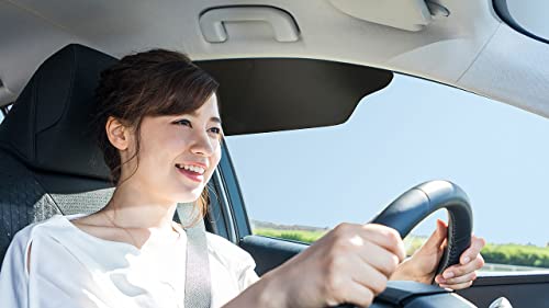 TuckVisor Windshield Sunshade for Car Sun Window Shade Visor Shades Sunshade Visors Extender 2 Pack