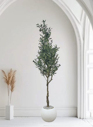 Tall Artificial Olive Tree with Large Artificial Olive Plant with Fake Olive Gifts and Fruits for Modern Decoration at Home, Office or Living Room Indoor. 215 cm - pzsku/ZA96F48ECC1BE5782405CZ/45/1755698156/01615a5b-3466-44f4-8079-35de398a4783
