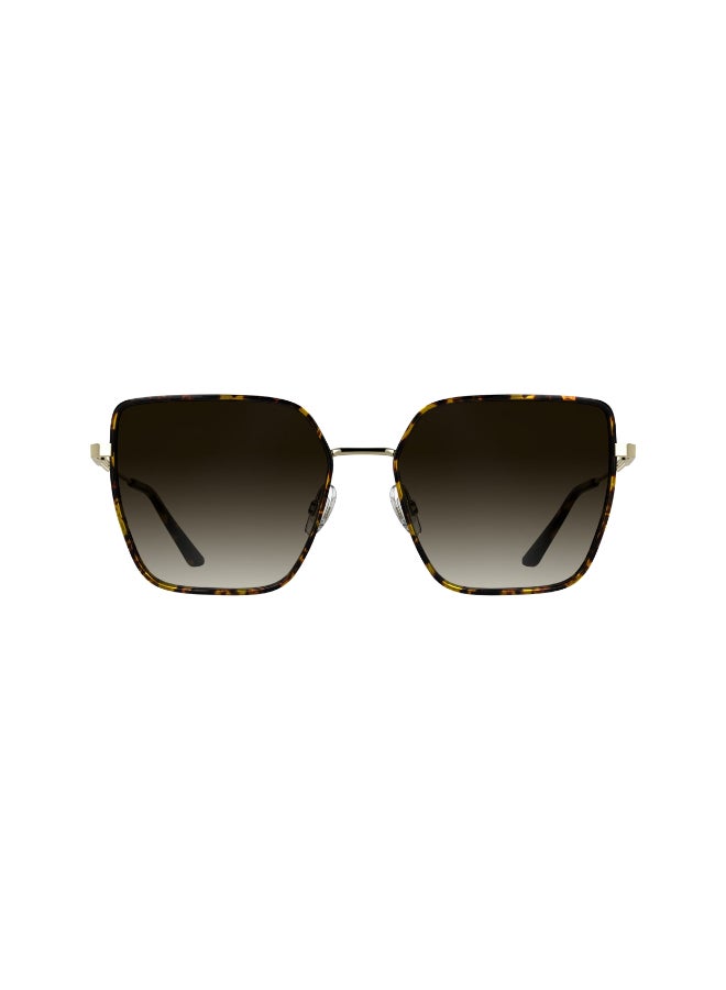 CALVIN KLEIN نظارات شمسية معدنية كاملة الإطار من كالفن كلاين CK25111S 5717 (240) هافانا - Image 1