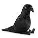 ZHONGXIN MADE Crow Plush Toy Realistic 12inch Black Crow Halloween Stuffed Animal Cute Little Bird Raven Plush as Gift for Your Friends - Image 3