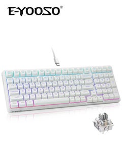 Z99 White-Sliver Switch