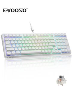 Z99 White-Sliver Switch
