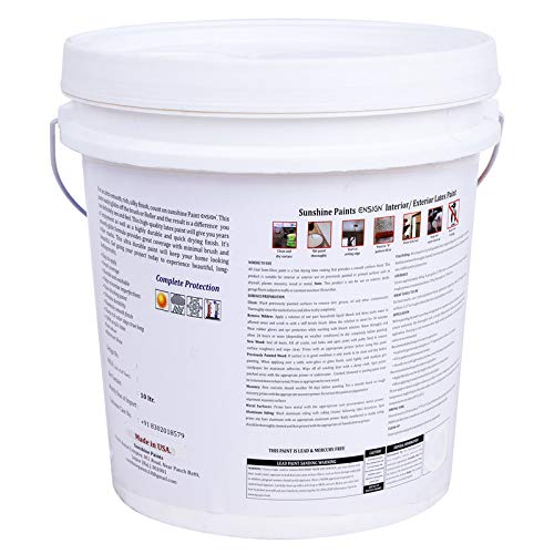 Made Product Ensign Paints Exterior Ultra Premium 100 Latex Paint Exterior Paint Flat Finish 1 Quart EcoFriendly Paint Neutral Base WS_T_EP_01_10 LTR_Brown 1025  - Image 3