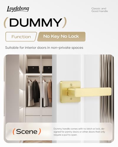 Leydebong 2 Pack Heavy Duty Dummy Door Handle Interior Lever Set, Single Sided Gold Door Knob for Interior Doors, Reversible for Right or Left Handles - Image 2