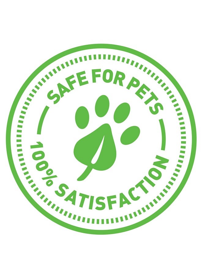 SmartyKat SmartyKat Catnip Mist Spray for Cats & Kittens, Safe for Pets - 7 Fluid Ounces  - Image 4