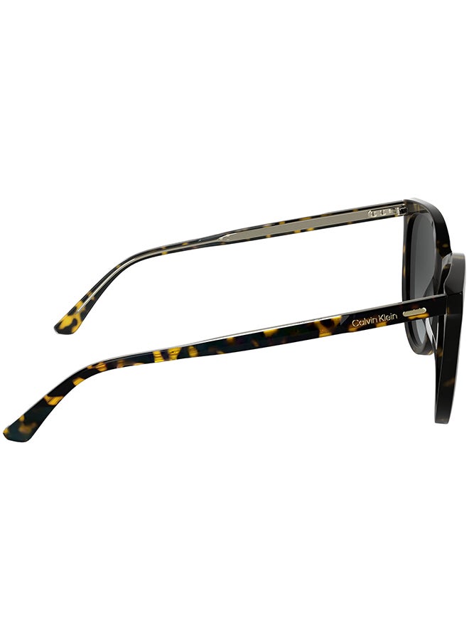 CALVIN KLEIN نظارات شمسية كاملة الإطار من أسيتات كالفن كلاين CK25508S 5516 (240) هافانا - Image 5