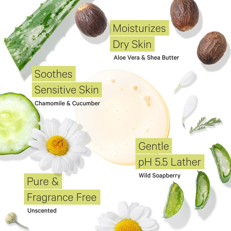 Tree to Tub Unscented Body Wash for Sensitive Skin & Dry Skin - Moisturizing pH Balanced Fragrance Free Body Wash, Hydrating Sulfate Free Body Soap for Women & Men w/Organic Shea Butter, Natural Aloe - Image 3