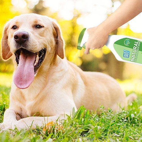 OUT Bramton Out! Natural Flea and Tick Spray, 500 ml - Image 3