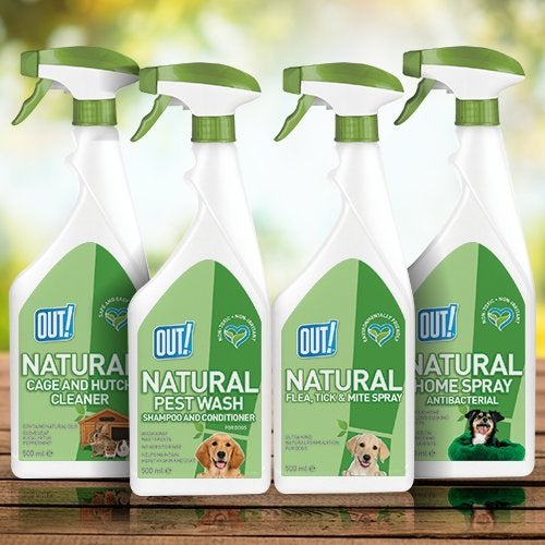 OUT Bramton Out! Natural Flea and Tick Spray, 500 ml - Image 4
