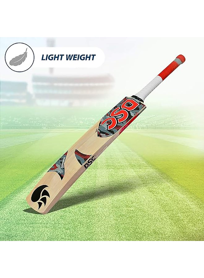 DSC Scorer Kashmir Willow Cricket Bat Short Handle Mens - Image 2