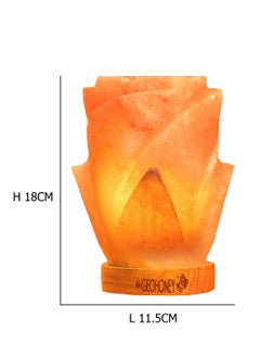 GEOHONEY Geohoney - Himalayan Salt Lamp Rose  - Image 3