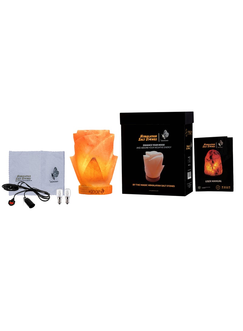Geohoney - Himalayan Salt Lamp Rose - Image 5