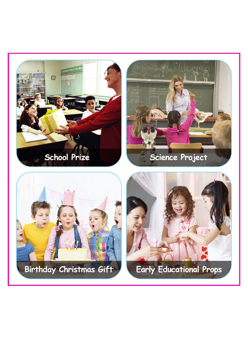 Zikra 18pcs Insect Bug Toy Figures, Realistic Mosquito Spider Action Model for Toddler, Educational Learning Toys, Cake Topper, Halloween Party Favor School Project Bug Figurines Set for Kids Toddlers - Image 3