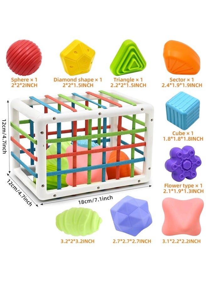 AiTuiTui - Montessori Baby Toys For 1 Year Old Boy Girl Gifts, Shape Sorter Baby Toys 6 12 18 Months Early Learning Sensory Bin With 3 Soft Textured Balls, Toddlers Toy For Age 1 2 3 Autistic Children - Image 1