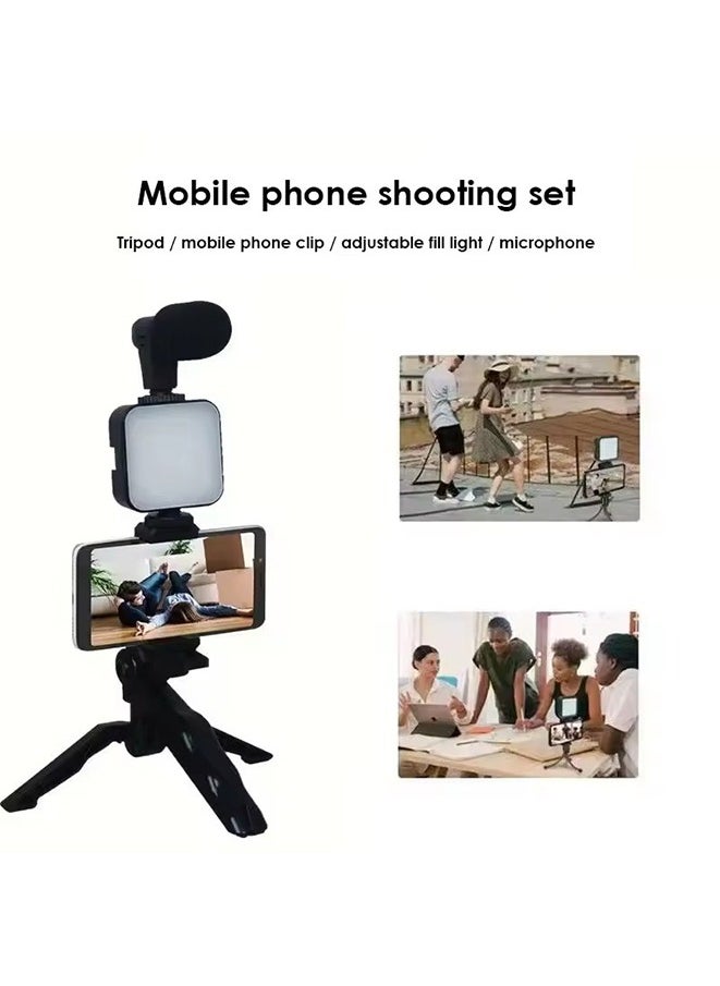 LED Fill Light Cell Phone Tripod Kit With Mic Mobile Phone Live Streaming Handheld Mini Portable Photography Live Fill Light,Smartphone Mini Microphone LED Kit Tripod Stand With Type-C+Lightning audio adapter cable
