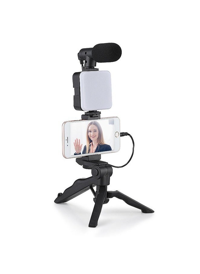 LED Fill Light Cell Phone Tripod Kit With Mic Mobile Phone Live Streaming Handheld Mini Portable Photography Live Fill Light,Smartphone Mini Microphone LED Kit Tripod Stand With Type-C+Lightning audio adapter cable
