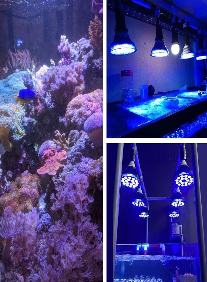 Dpofirs 18W Saltwater Aquarium Light, Refugium Light, Full Spectrum Aquarium Light LED Reef Lights for Marine Turtle - Image 2