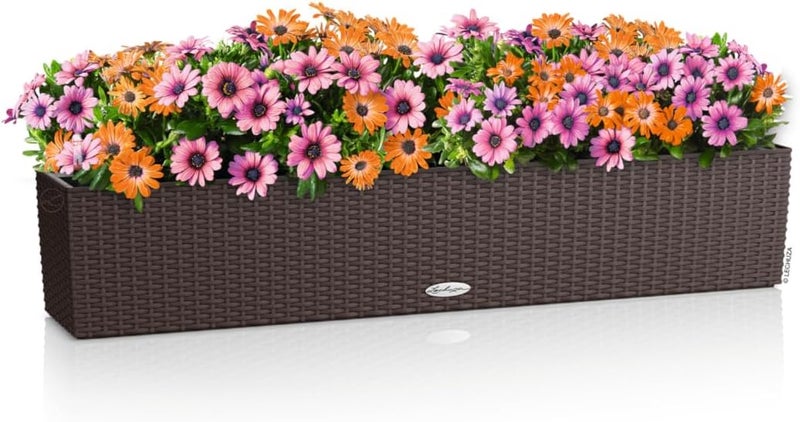 Lechuza - Balconera Cottage 100 Mocha Planter, Balcony Box with Watering System, Water Level Indicator and Plant Insert, Wicker Look, 99 x 19 x 19 cm, 15912 - Image 2